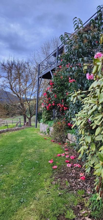 Rosewhite House Bed and Breakfast Myrtleford Exteriör bild